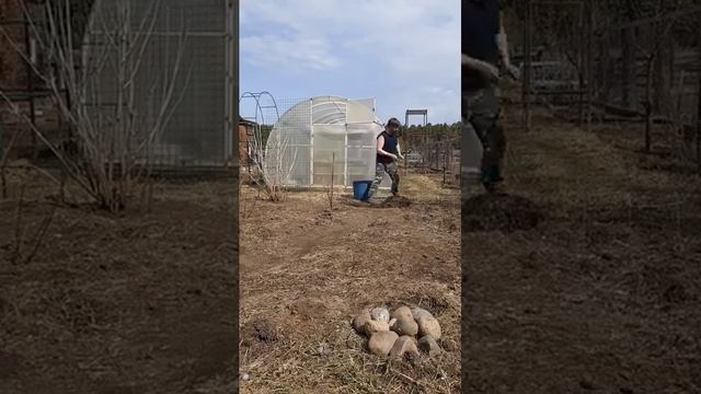 Огород под контролем