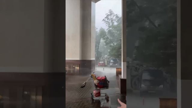 ⚡️Москву совсем скоро накроет пятибалльный шторм. Ожидается сильный ветер с порывами до 27 м/с