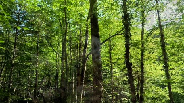 Мезмай в мае.Крутые водопады