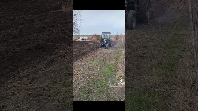 Синий трактор, вспашка огорода.
