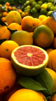 Кочующий на Северном Кипре фермерский рынок #Кипр #СеверныйКипр #море #солнце #фрукты