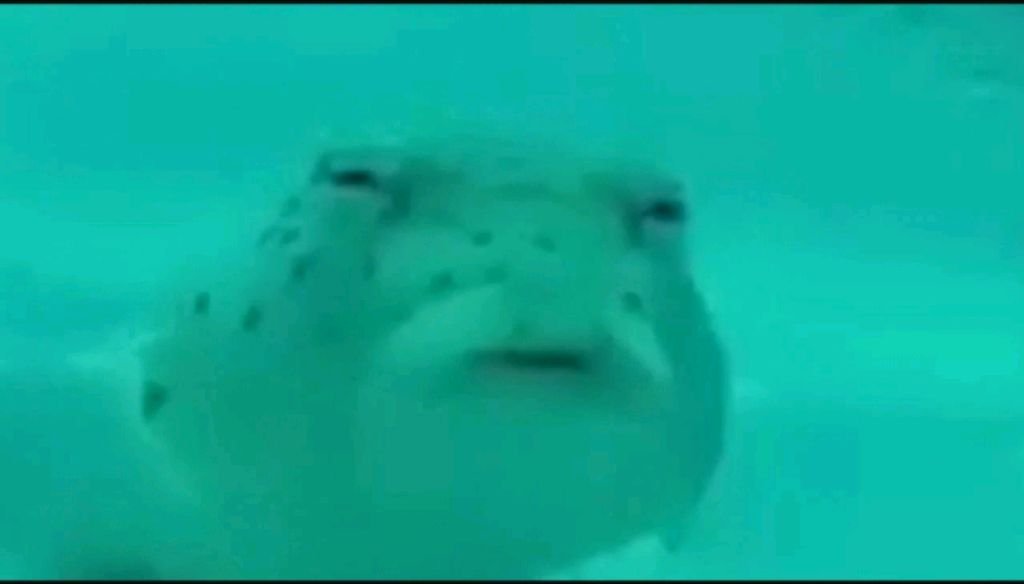 с штурма до фул 6