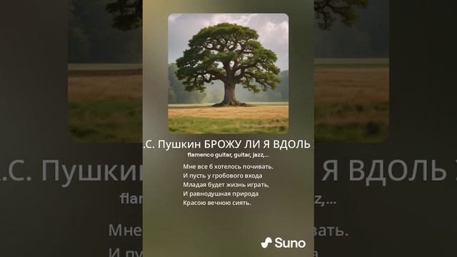 А.С. Пушкин БРОЖУ ЛИ Я ВДОЛЬ УЛИЦ ШУМНЫХ
