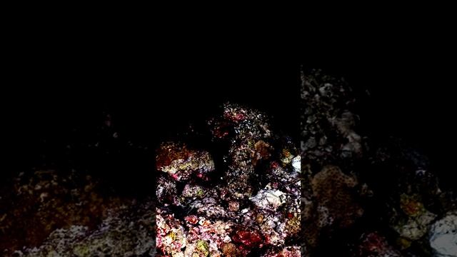 Необычные ракурсы привычного