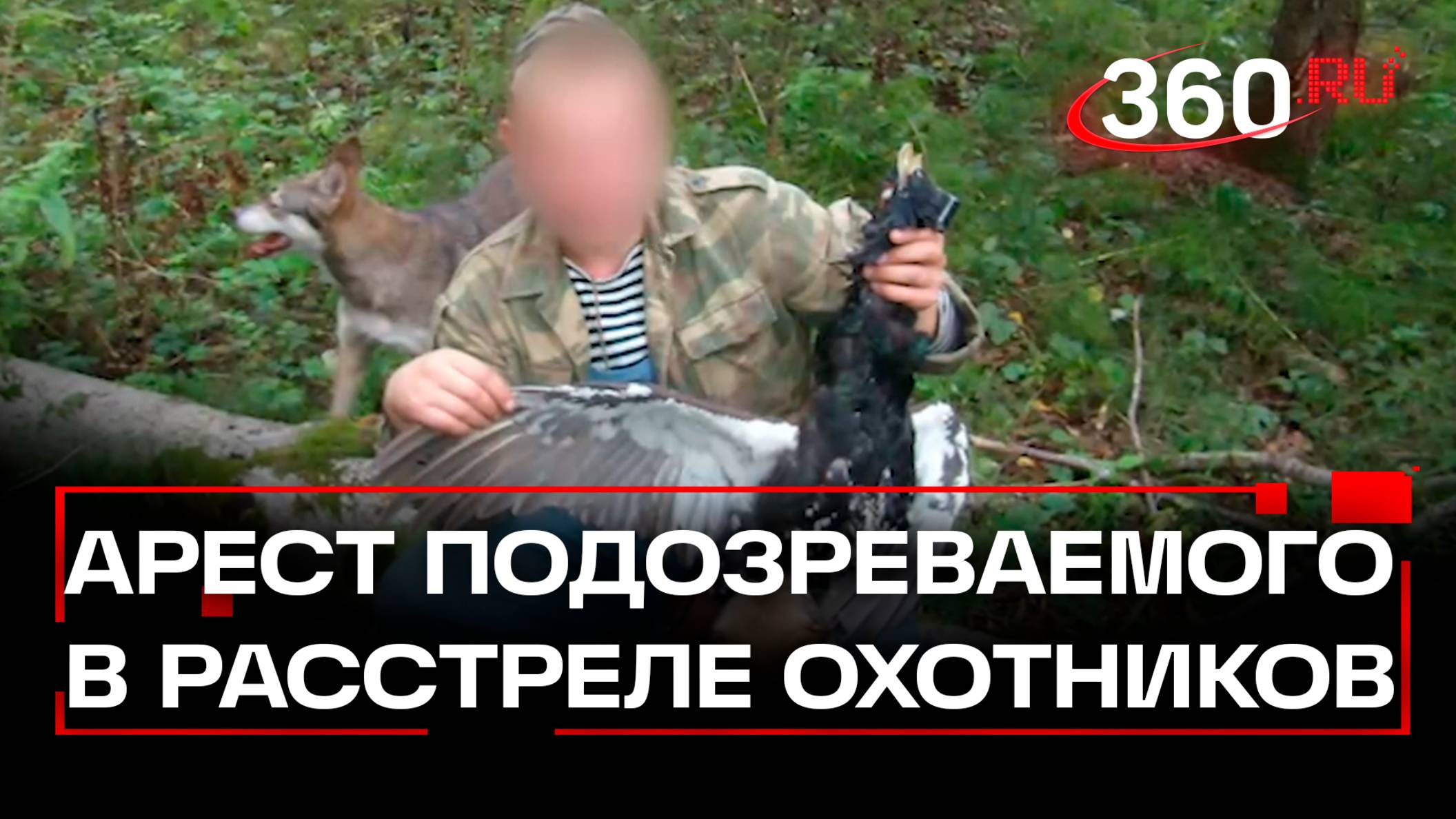 Подозреваемого в расстреле охотников в Талдомском лесу задержали