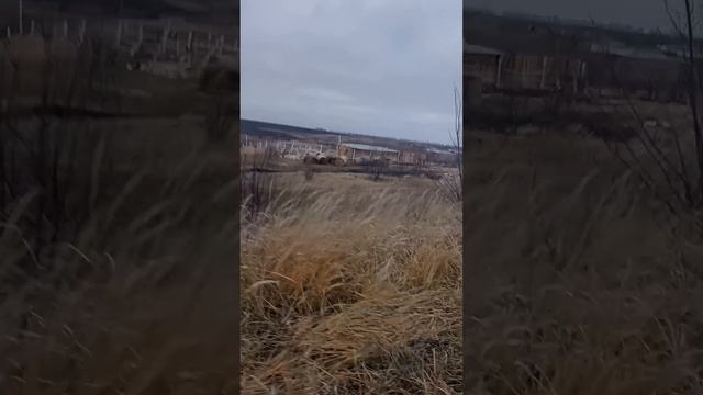 Строительство помещения для содержания КРС
