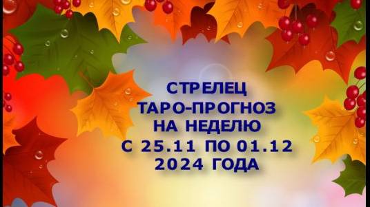 СТРЕЛЕЦ ТАРО-ПРОГНОЗ НА НЕДЕЛЮ С 25 ПО 1 ДЕКАБРЯ 2024 ГОДА