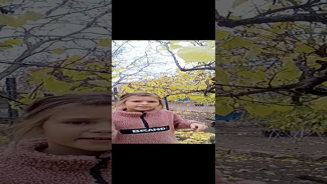 1000011874.mp4