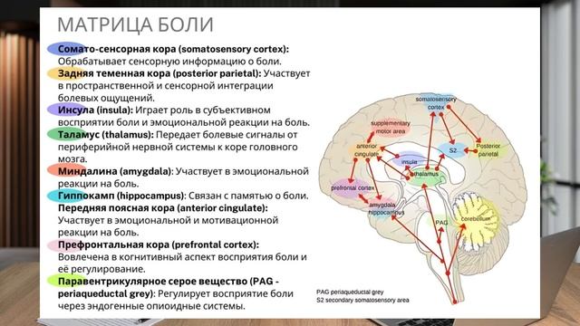 Боль и Обезболивающие: Понимание и Применение