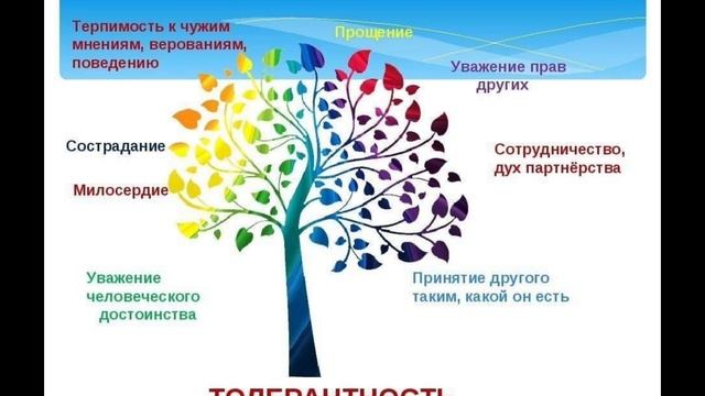 21.11.24 толерантность