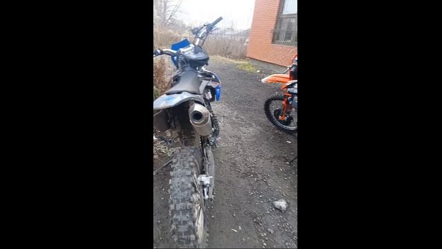 #progasi #ПСИХ