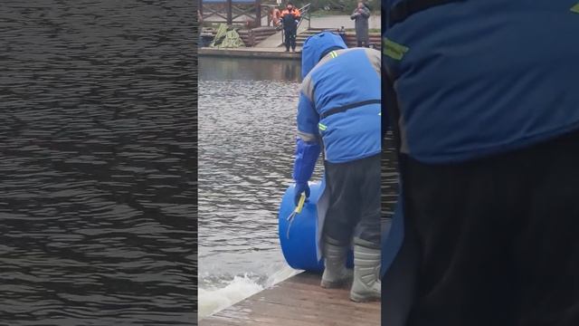Запуск форели