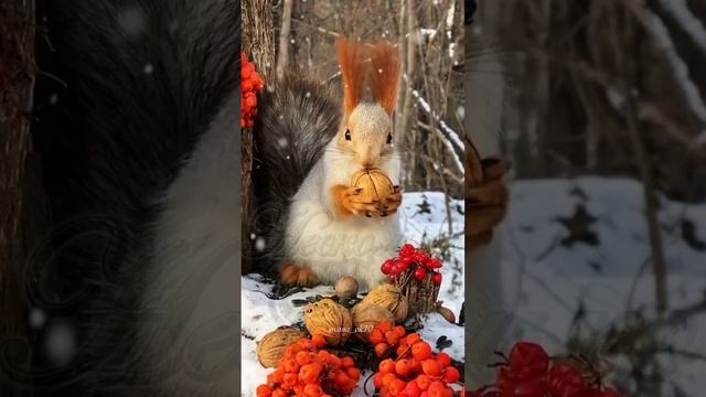 #доброеутро