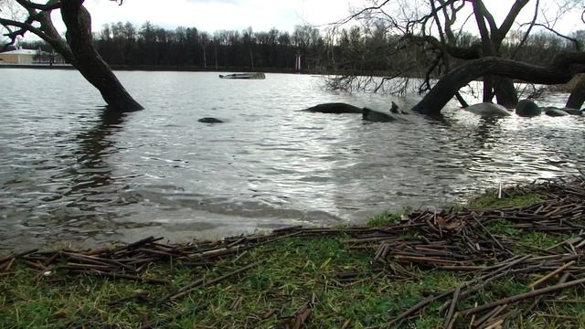 Шум воды, звуки природы видео #5