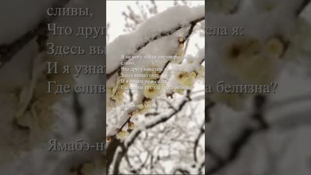 Ямабэ-но Акахито - "Я не могу найти цветов расцветшей сливы"
