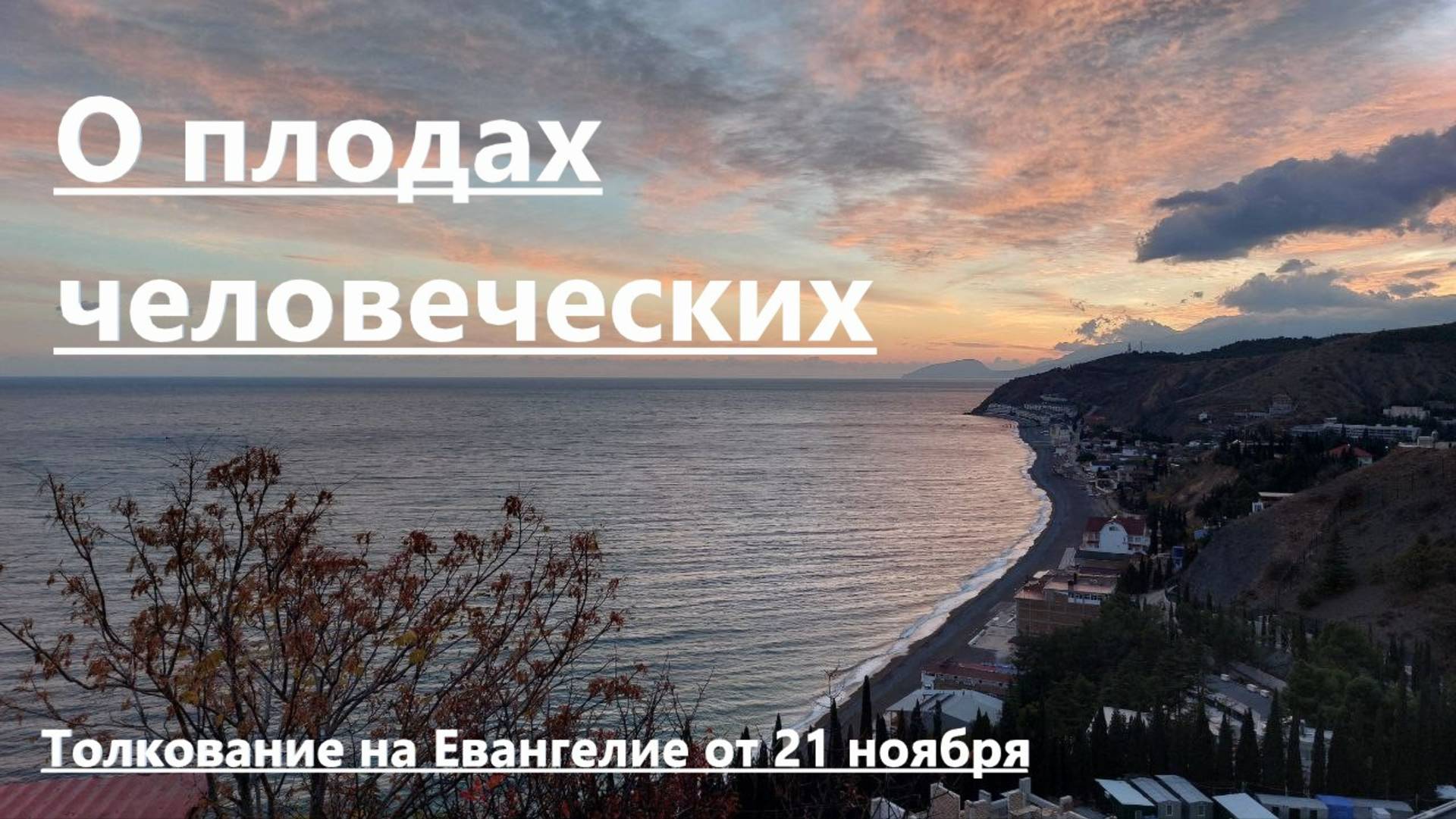 Толкование на Евангелие от 21 ноября О ПЛОДАХ ЧЕЛОВЕЧЕСКИХ. Священник Павел Морозенко.