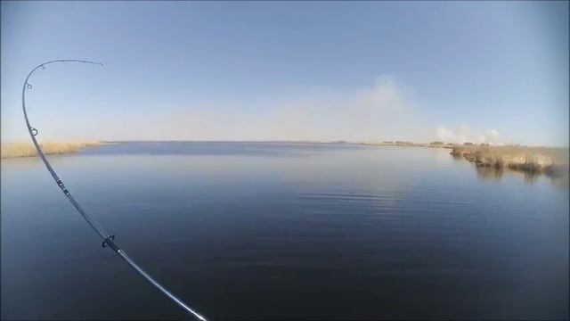 Открытие летнего сезона 3 мая 2016 г.