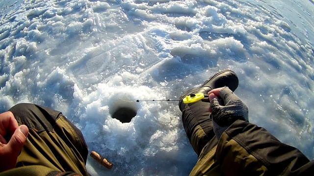 БЕЗМОТЫЛКА. ГЛУХОЗИМЬЕ УЖЕ ПРИШЛО ? | ПОИСК РЫБЫ НА БЕЗМОТЫЛКУ В ДЕКАБРЕ