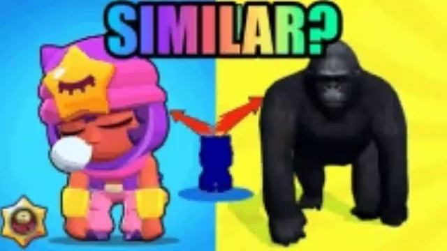 1000040599.mp4