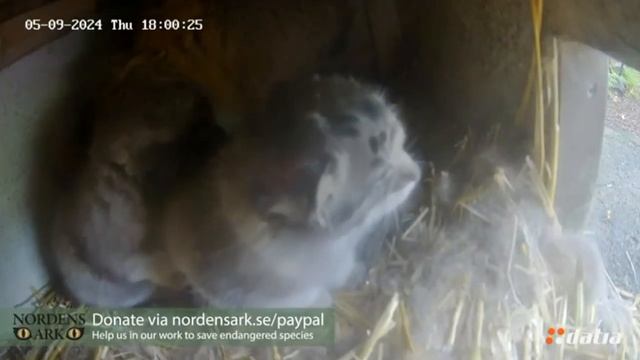 Хочется гулять, но страшно