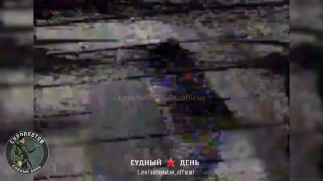 Удары fpv-дронами ВТ-40 по  бандеровской технике в районе н.п. Желтое.  Работает группа Вани И...