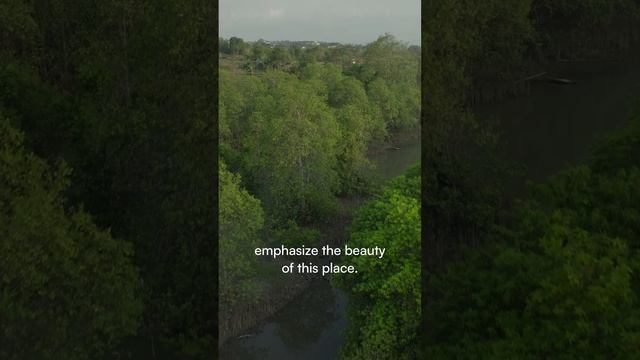 Our General Producer Zakharova Yana about Aurora park, Nuanu, Bali.