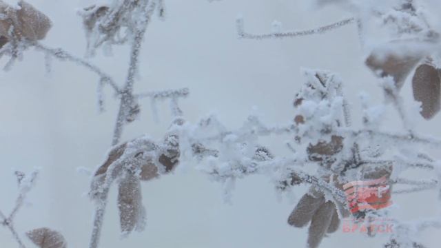 Там, за туманами. Густая дымка, окутавшая Братск, стала следствием..?