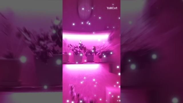 Полки из слэба своими руками.
