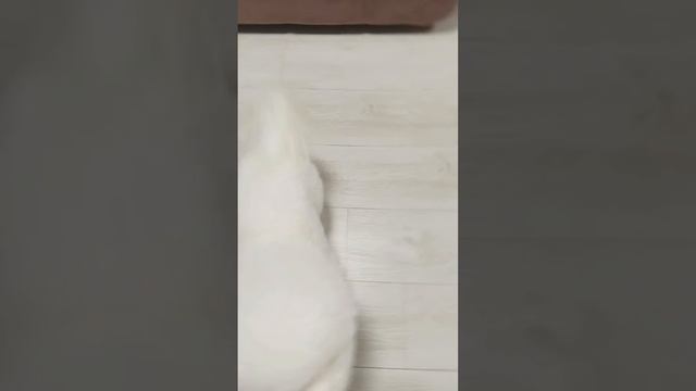 Изумрудный Рай Лерон Тилл