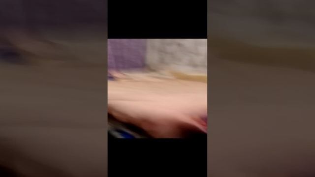 VID_20241122_182019.mp4