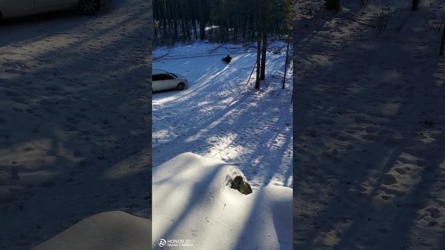 На природе