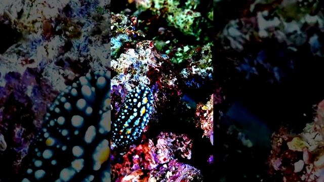 Камера и интересные детали