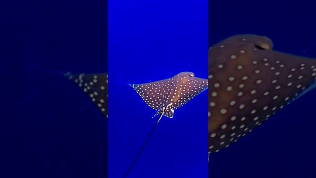 День в объективе камеры