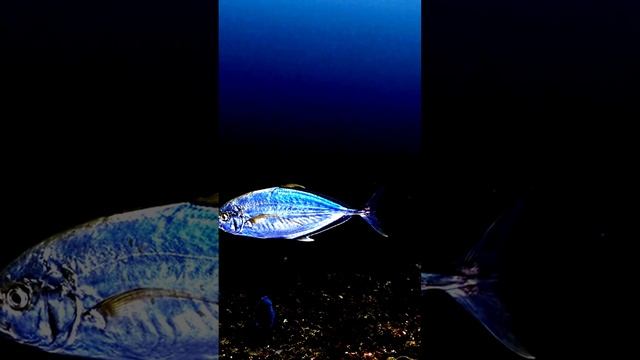 Обычные моменты особенного дня