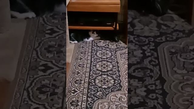 Нежданное место для игр ;-)