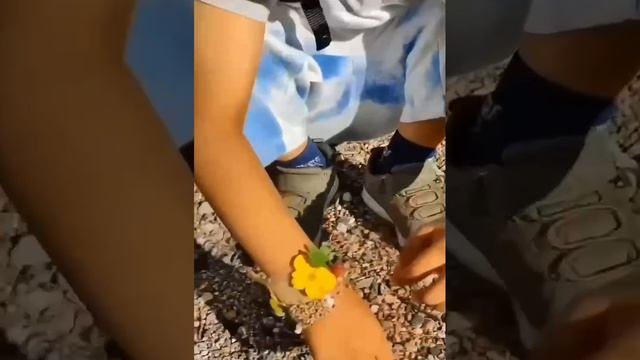 Творческие идеи для прогулок с детьми