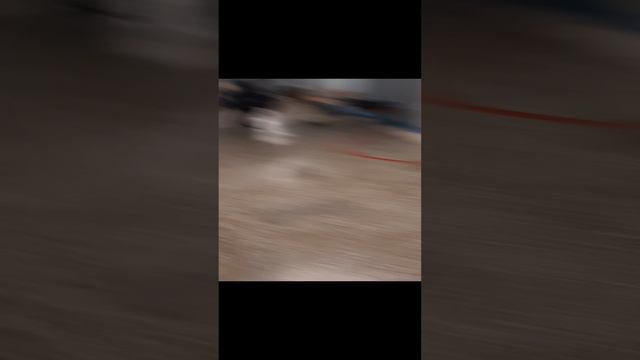 девочка у которой паехала кукуха