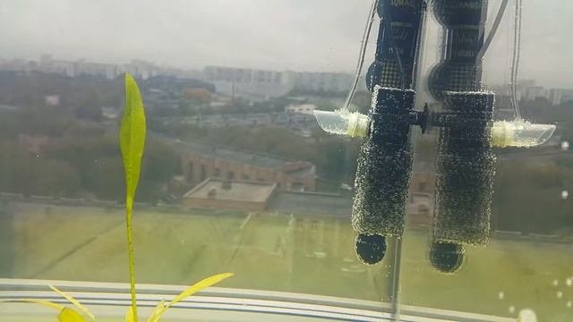 Проект закончен.