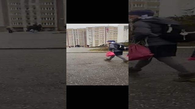 животное которое терроризирует класс ( история класса