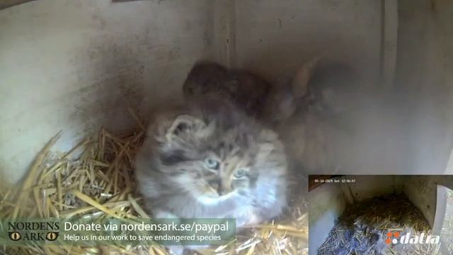 Скептический взгляд на мир