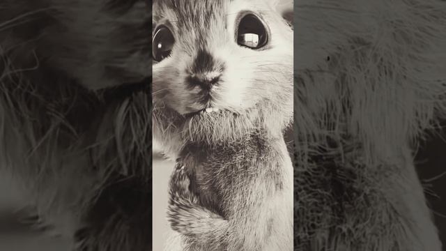 для хейтеров 🤣