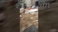 PURINA PRO PLAN
