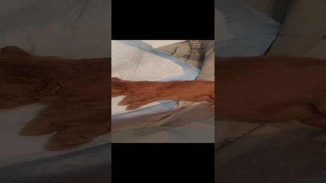 1000002575.mp4