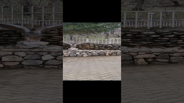 Адыгея