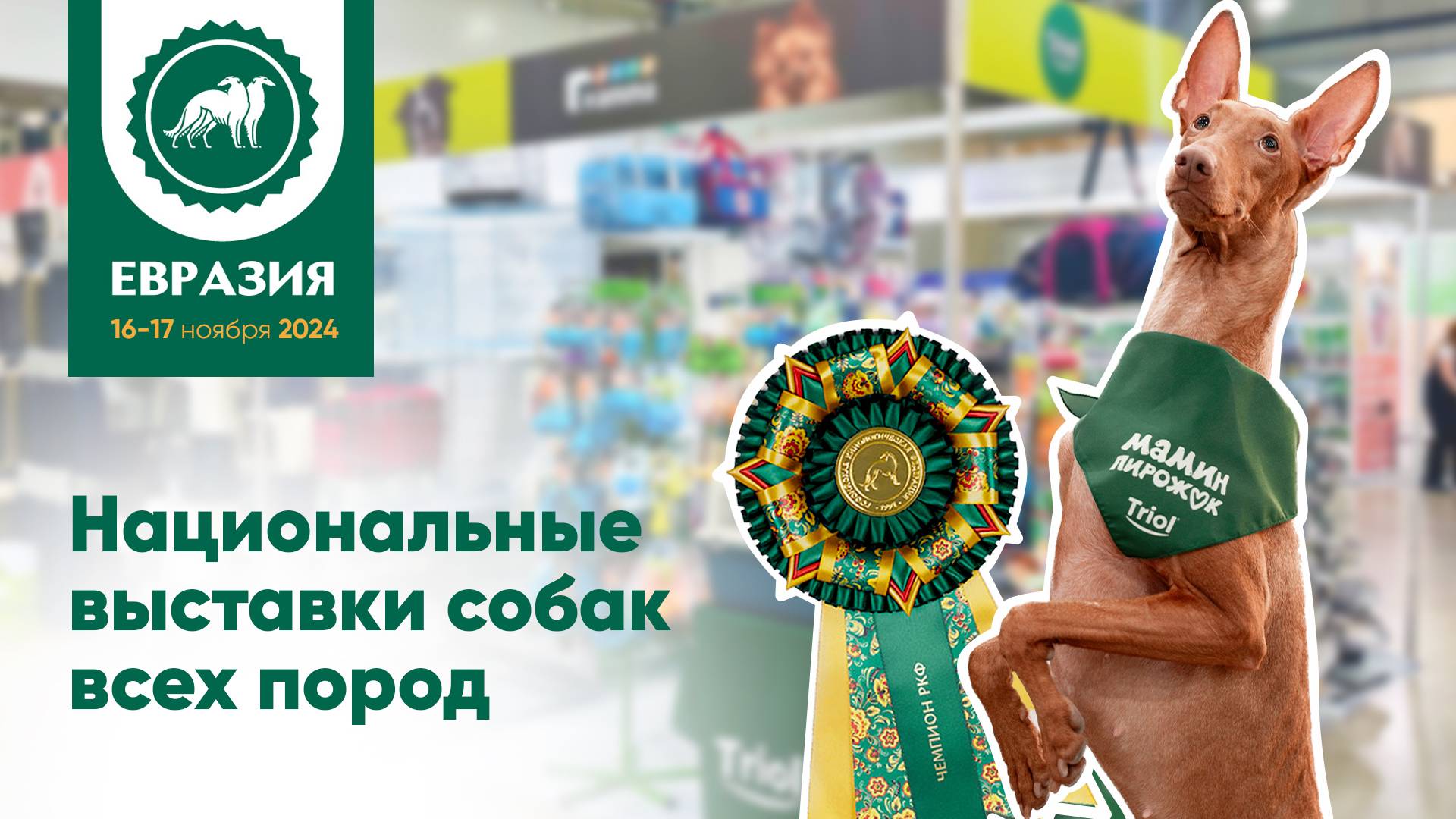 Обзор выставки Евразия 2024