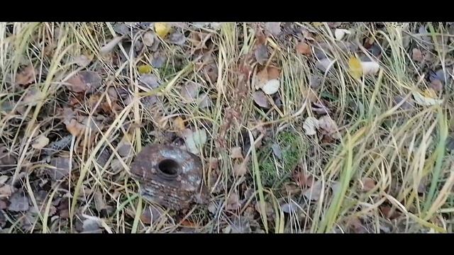 металла коп часть 5