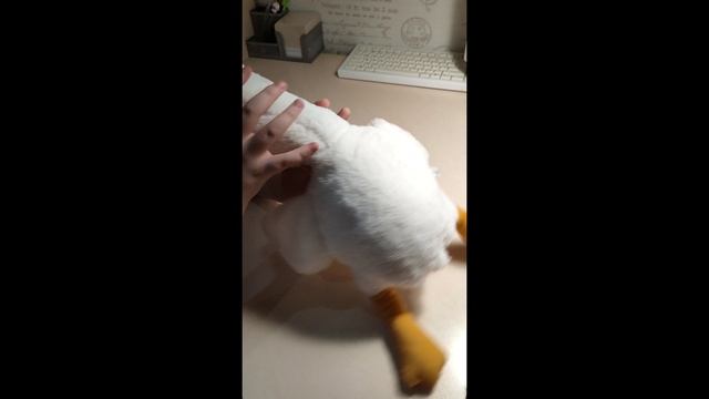 Топ-5 мягких игрушек