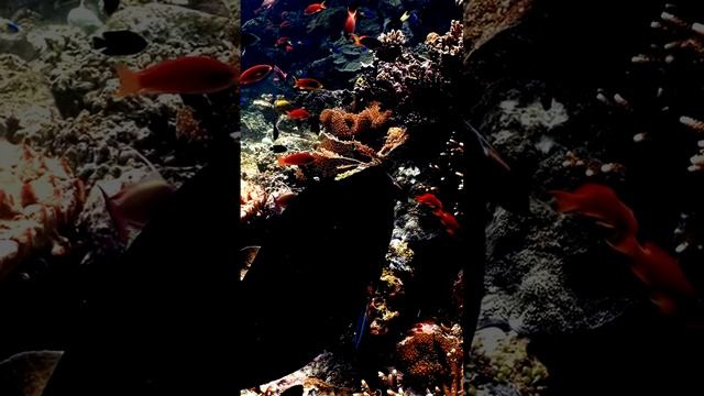 Прекрасные места вокруг