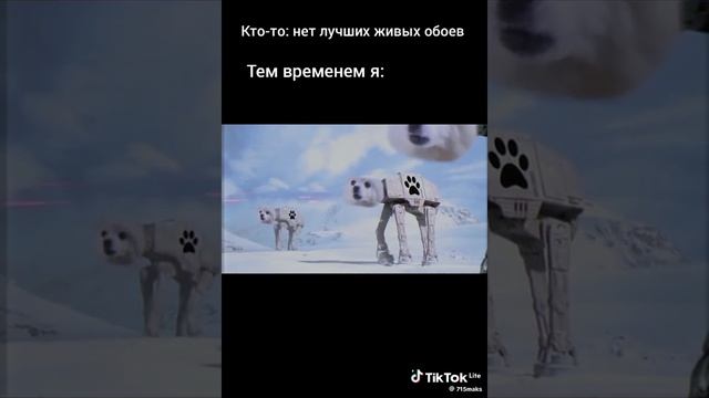 А-ээ... Что это?...