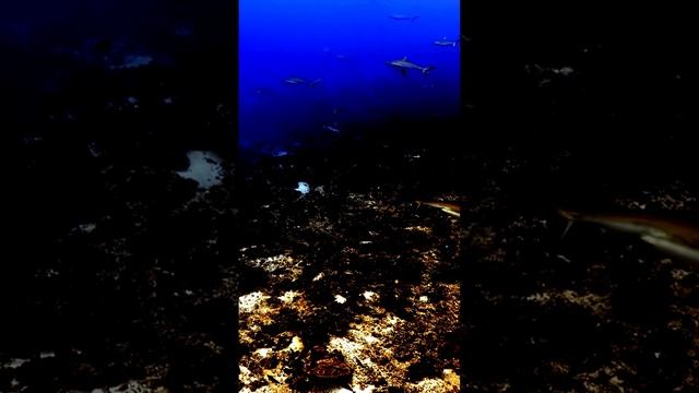 Камера и интересные детали